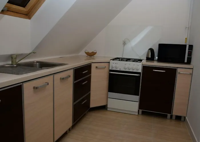 Boroweczka Apartment *